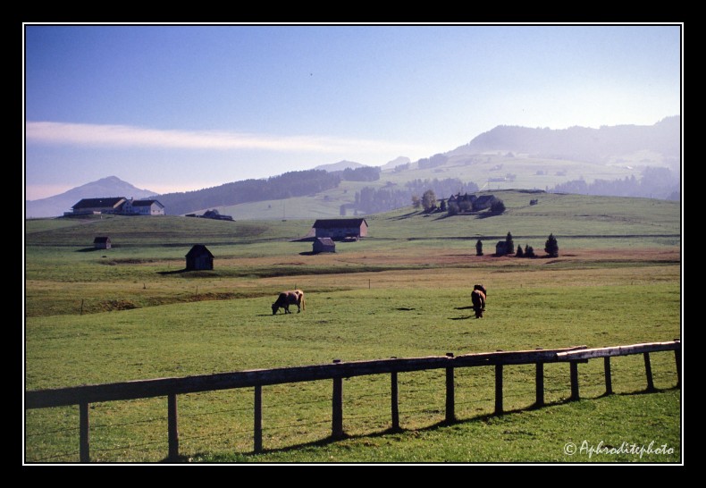 17 Typische Landschaft